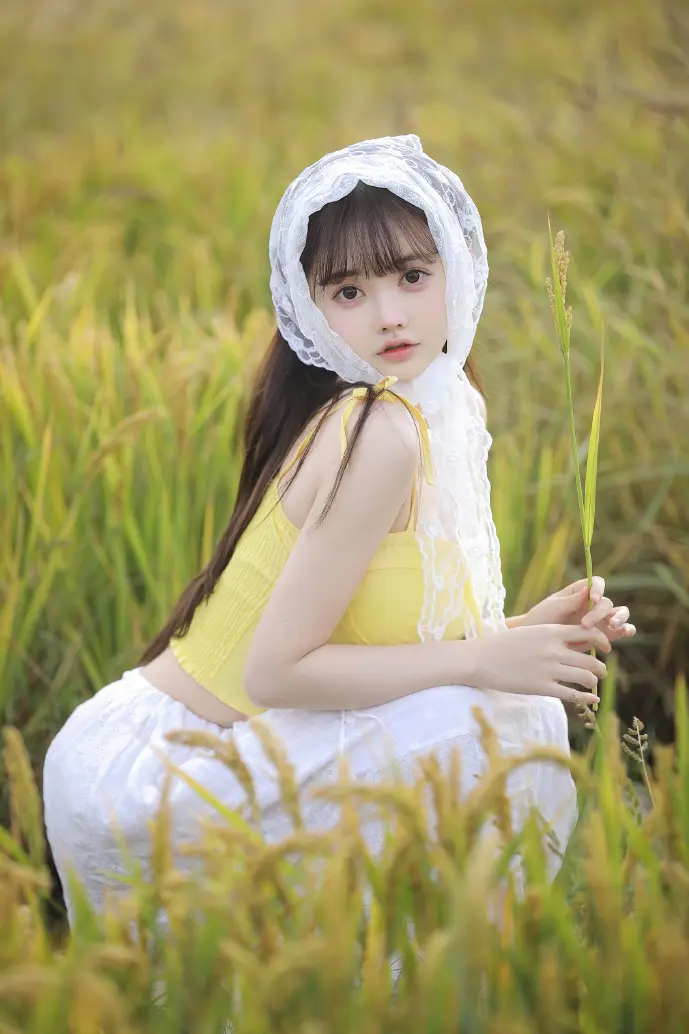 夜行者数据趋势